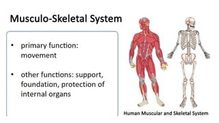 MUSCULOSKELETAL SYSTEM Powerpoint presentations from DOST STARBOOKS PPTX