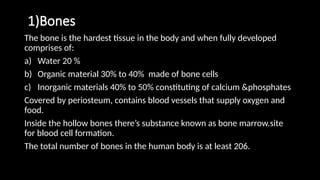 1)Bones
The bone is the hardest tissue in the body and when fully developed
comprises of:
a) Water 20 %
b) Organic material 30% to 40% made of bone cells
c) Inorganic materials 40% to 50% constituting of calcium &phosphates
Covered by periosteum, contains blood vessels that supply oxygen and
food.
Inside the hollow bones there’s substance known as bone marrow.site
for blood cell formation.
The total number of bones in the human body is at least 206.
 
