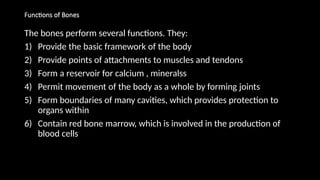 Functions of Bones
The bones perform several functions. They:
1) Provide the basic framework of the body
2) Provide points of attachments to muscles and tendons
3) Form a reservoir for calcium , mineralss
4) Permit movement of the body as a whole by forming joints
5) Form boundaries of many cavities, which provides protection to
organs within
6) Contain red bone marrow, which is involved in the production of
blood cells
 