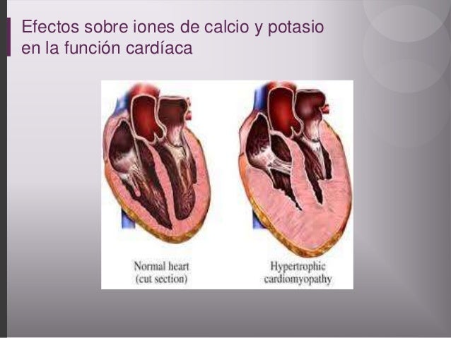 Imagen relacionada