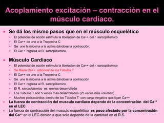 Fisiología y Función del Músculo Cardíaco y Ciclo Cardiaco Completo | PDF