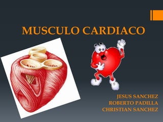 MUSCULO CARDIACO
JESUS SANCHEZ
ROBERTO PADILLA
CHRISTIAN SANCHEZ
 