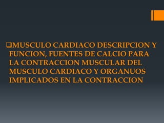 MUSCULO CARDIACO DESCRIPCION Y
FUNCION, FUENTES DE CALCIO PARA
LA CONTRACCION MUSCULAR DEL
MUSCULO CARDIACO Y ORGANUOS
IMPLICADOS EN LA CONTRACCION
 