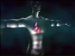 Musculo cardiaco  histologia 
