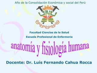 Año de la Consolidación Económica y social del Perú Facultad Ciencias de la Salud Escuela Profesional de Enfermeria anatomía y fisiología humana Docente: Dr. Luís Fernando Cahua Rocca 