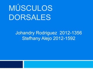 MÚSCULOS
DORSALES
Johandry Rodriguez 2012-1356
Stefhany Alejo 2012-1592
 