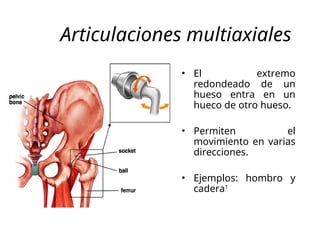 Comprehensive Overview of Musculoskeletal System and Joint ...