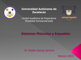 Universidad Autónoma de
        Zacatecas

Unidad Académica de Preparatoria
   Modalidad Semiescolarizada




Sistemas Músculos y Esqueleto




  Dr. Rubén García Zamora

                                   Febrero 2013
 