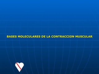 BASES MOLECULARES DE LA CONTRACCION MUSCULAR
 