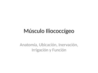 Músculo Iliococcígeo
Anatomía, Ubicación, Inervación,
Irrigación y Función
 