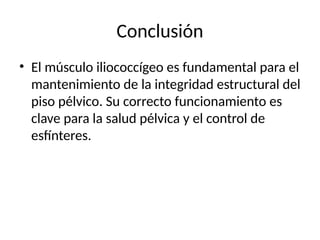Conclusión
• El músculo iliococcígeo es fundamental para el
mantenimiento de la integridad estructural del
piso pélvico. Su correcto funcionamiento es
clave para la salud pélvica y el control de
esfínteres.
 