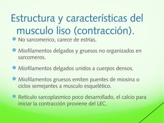 Estructura y características del
musculo liso (contracción).
 No sarcomerico, carece de estrías.

 Miofilamentos delgados y gruesos no organizados en
sarcomeros.

 Miofilamentos delgados unidos a cuerpos densos.
 Miofilamentos gruesos emiten puentes de miosina o
ciclos semejantes a musculo esquelético.

 Retículo sarcoplasmico poco desarrollado, el calcio para
iniciar la contracción proviene del LEC.

 