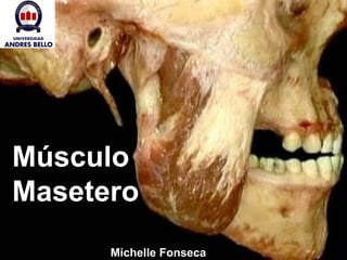 MúsculoMúsculo
MaseteroMasetero
Michelle FonsecaMichelle Fonseca
 