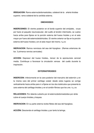 IRRIGACION: Rama esternocleidomastoidea, colateral de la arteria tiroidea
superior, rama colateral de la carótida externa.
OMOHIOIDEO
INSERCIONES: El vientre posterior en el borde superior del omóplato, cruza
por fuera al paquete neurovascular, del cuello al tendón intermedio, se vuelve
hacia arriba para fijarse en la porción externa del hueso hioides y en el asta
mayor por fuera del esternocleidohioideo. El vientre anterior se fija en la porción
externa del hueso hioides y en el asta mayor del mismo. Fig.255
INERVACION: Ramos nerviosos del asa del hipogloso (Ramas anteriores de
los 3 primeros nervios cervicales)
ACCION: Depresor del hueso hioides., tensor de la aponeurosis cervical
media. Contribuye a favorecer la circulación venosa del cuello durante la
inspiración.
ESTERNOTIROIDEO
INSERCION: Inferiormente en la cara posterior del manubrio del esternón y en
la misma cara del primer cartílago costal: desde estos lugares se corrige
verticalmente hacia arriba para ir a fijarse en los dos tubérculos que presenta la
cara externa del cartílago tiroides y en el cordón fibroso que los une. Fig. 256
RELACIONES: Por delante cubierto por el esternocleidomastoideo por atrás
cubre el cuerpo tiroides y traquea.
INERVACION: En su parte externa recibe filetes del asa del hipogloso.
ACCIÓN: Desciende el cartílago tiroides y por tanto la laringe.
 
