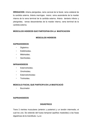 IRRIGACION: Arteria pterigoidea, ramo cervical de la facial, rama colateral de
la carótida externa. Arteria meníngea menor, rama ascendente de la maxilar
interna de la rama terminal de la carótida externa. Arteria dentaria inferior y
pterigoidea, ramas descendentes de la maxilar interna, rama terminal de la
carótida externa.
MÚSCULOS HIOIDEOS QUE PARTICIPAN EN LA MASTICACION
MÚSCULOS HIOIDEOS
SUPRAHIOIDEOS
• Digástrico.
• Estilóhioideo.
• Milohioideo.
• Genihioideo.
INFRAHIOIDEOS
• Esternohioideo.
• Omohioideo.
• Esternotirohioideo
• Tirohioideo.
MÚSCULO FACIAL QUE PARTICIPA EN LA MASTICACIÓ
• Buccinador.
SUPRAHIOIDEOS
DIGÁSTRICO
Tiene 2 vientres musculares (anterior y posterior) y un tendón intermedio, el
cual los une. Se extiende del hueso temporal (apófisis mastoides) a las fosas
digastricas de la mandíbula. Fig.246
 