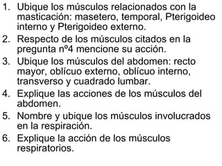 Ubique los músculos relacionados con la masticación: masetero, temporal, Pterigoideo interno y Pterigoideo externo. Respecto de los músculos citados en la pregunta nº4 mencione su acción. Ubique los músculos del abdomen: recto mayor, oblícuo externo, oblícuo interno, transverso y cuadrado lumbar. Explique las acciones de los músculos del abdomen.  Nombre y ubique los músculos involucrados en la respiración. Explique la acción de los músculos respiratorios. 