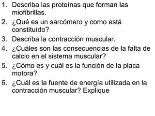 Describa las proteínas que forman las miofibrillas. ¿Qué es un sarcómero y como está constituído? Describa la contracción muscular. ¿Cuáles son las consecuencias de la falta de calcio en el sistema muscular? ¿Cómo es y cuál es la función de la placa motora? ¿Cuál es la fuente de energía utilizada en la contracción muscular? Explique 