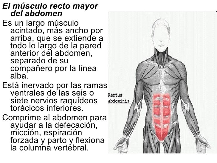 Duele después de epiduralki la espalda
