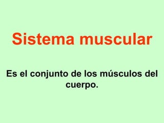 Sistema muscular Es el conjunto de los músculos del cuerpo. 