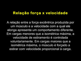 Relação força x velocidade

A relação entre a força excêntrica produzida por
   um músculo e a velocidade com a qual ele
alonga apresenta um comportamento diferente.
Em cargas menores que a isométrica máxima, a
     velocidade de estiramento é controlada
   voluntariamente. Em cargas maiores que a
   isométrica máxima, o músculo é forçado a
  estirar com velocidade proporcional à carga.
 
