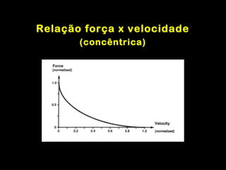 Relação força x velocidade
       (concêntrica)
 