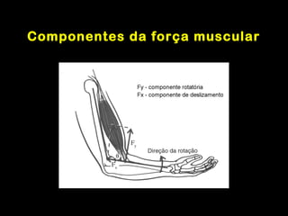 Componentes da força muscular
 