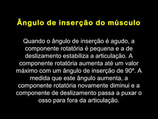 Ângulo de inserção do músculo

   Quando o ângulo de inserção é agudo, a
   componente rotatória é pequena e a de
   deslizamento estabiliza a articulação. A
 componente rotatória aumenta até um valor
máximo com um ângulo de inserção de 90º. A
     medida que este ângulo aumenta, a
 componente rotatória novamente diminui e a
componente de deslizamento passa a puxar o
        osso para fora da articulação.
 
