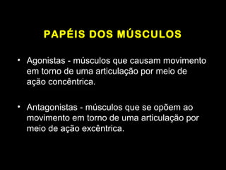 PAPÉIS DOS MÚSCULOS

• Agonistas - músculos que causam movimento
  em torno de uma articulação por meio de
  ação concêntrica.

• Antagonistas - músculos que se opõem ao
  movimento em torno de uma articulação por
  meio de ação excêntrica.
 