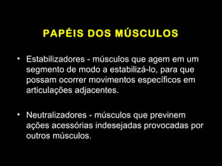 PAPÉIS DOS MÚSCULOS

• Estabilizadores - músculos que agem em um
  segmento de modo a estabilizá-lo, para que
  possam ocorrer movimentos específicos em
  articulações adjacentes.

• Neutralizadores - músculos que previnem
  ações acessórias indesejadas provocadas por
  outros músculos.
 