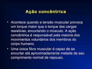 Musculos | PPT