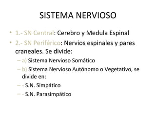 SISTEMA NERVIOSO
• 1.- SN Central: Cerebro y Medula Espinal
• 2.- SN Periférico: Nervios espinales y pares
craneales. Se divide:
– a) Sistema Nervioso Somático
– b) Sistema Nervioso Autónomo o Vegetativo, se
divide en:
– - S.N. Simpático
– - S.N. Parasimpático
 
