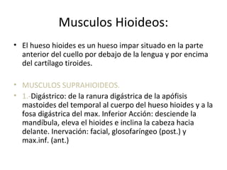 Musculos Hioideos:
• El hueso hioides es un hueso impar situado en la parte
anterior del cuello por debajo de la lengua y por encima
del cartílago tiroides.
• MUSCULOS SUPRAHIOIDEOS.
• 1.-Digástrico: de la ranura digástrica de la apófisis
mastoides del temporal al cuerpo del hueso hioides y a la
fosa digástrica del max. Inferior Acción: desciende la
mandíbula, eleva el hioides e inclina la cabeza hacia
delante. Inervación: facial, glosofaríngeo (post.) y
max.inf. (ant.)
 
