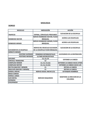 DORSO
MUSCULO INERVACIÓN ACCIÓN
TRAPECIO ESPINAL, CERVICALES PROFUNDO
ELEVACION DE LA ESCAPULA
ROMBOIDE MAYOR
NERVIO ROMBOIDE MAYOR, PLEXO
BRAQUIAL
ACERCA LAS ESCAPULAS
RONBOIDE MENOR
NERVIO ROMBOIDE MENOR, PLEXO
BRAQUIAL
ACERCA LAS ESCAPULAS
ELEVADOR DE LA ESCAPULA
NERVIO DEL MUSCULO ELEVADOR
DE LA ESCAPULA PLEXO BRAQUIAL
ELEVACION DE LA ESCAPULA
SERRATO MENOR
POSTERO SUPERIOR PRIMEROS INTERNCOSTALES
POSTERIO INFERIOR ULTIMO INTERCOSTALES
ESPLENIO C2, C3, C4
CERVICAL TRANSVERO C2
COMPLEXO MENOR C3, C4, C5 (C2) EXTIENDE LA CABEZA HACIA ATRÁS
COMPLEXO MEYOR C3, C4, C5 (C2) EXTIENDE LA CABEZA HACIA LOS
RECTOS (MAYOR Y MENOR) C1 ROTAN LA CABEZA
OBLICUOS (MAYOR Y MENOR) C1 ROTAN LA CABEZA
DORSAL ANCHO NERVIO DOSAL ANCHO (C5) EXTIENDEN HOMBROS
MASA COMUN
DORSAL LARGO
ILIO COSTAL
ESPINOSO
EPIESPINOSO
NERVIOS RAQUIDEOS
MANTIENE LA ERECCION DE LA
COLUMNA
MIOLOGIA
ACCESORIOS DE LA RESPIRACION
EXTIENDE LA CABEZA
 
