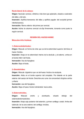 Recto lateral de la cabeza:
Origen: fascículo carnoso, cilíndrico más bien que aplanado, situado a cada lado
del atlas y del axis.
Inserción: Apófisis transversa del atlas y apófisis yugular del occipital (primer
intertransverso).
Inervación: Rama anterior del primer par cervical.
Acción: Inclina la columna cervical o la fija firmemente, tomando como punto la
región cervical.
REGIÓN DEL HUESO HIOIDE
Músculos infra hioideos
1.-Esternocleidohiodeo:
Origen: Músculo en forma de cinta que va de la extremidad superior del tórax al
hueso hioides.
Inserción: Abajo en la extremidad interna de la clavícula y el externo; arriba en
el borde inferir del hiode.
Inervación: Asa de hipogloso
Acción: Baja el hiode.
2.-Omoidohideo:
Origen: Músculo digástrico que va del hueso hioide a la escápula.
Inserción: Atrás en el borde superior del omoplato. Por delante en la parte
externa del cuerpo de hioide. Describe una curva de concavidad dirigida a arriba
y afuera
Inervación: asa del hipogloso.
Acción: Baja el hueso hioide inclinándolo hacia atrás.
3.-Esternotiroideo.
Origen: Músculo ancho y acentuado, situado debajo del
esternocleidomastoideo.
Inserción: Abajo caja posterior del esternón y primer cartílago costal. Arriba del
tubérculo de la cara externa del cartílago tiroides.
Inervación: Asa del hipogloso.
 