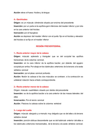 Acción eleva el hueso hiodes y la lengua
4.- Genihiodeo
Origen: es un músculo cilindroide situado por encima del precedente
Inserción: por un parte en la apófisis geni inferiores del maxilar inferior y por otra
en la cara anterior del hioides
Inervación por el hipogloso
Acción es depresor del maxilar inferior con el punto fijo en el hioides y elevador
del hioides si se fija en el maxilar inferior
REGIÓN PREVERTEBRAL
1.- Recto anterior mayor de la cabeza
Origen: músculo aplanado y triangular que va del occipital las apófisis
transversas de la columna cervical.
Inserción: en la cara inferior de la apófisis bacilar, por delante del agujero
occipital por arriba. Por abajo en los tubérculos anteriores de la tercera a la sexta
vértebra cervical
Inervación: por el plexo cervical profundo
Acción: flexión la cabeza si los dos músculos se contraen; si la contracción es
unilateral rotación hacia el lado correspondiente.
2.- Recto anterior menor de la cabeza
Origen: músculo cuadrilátero situado por detrás del precedente
Inserción: va de la apófisis bacilar a la cara anterior de las masas laterales del
atlas
Innervación. Por el nervio cervical
Acción. Flexiona la cabeza sobre la columna vertebral
3.- Largo del cuello
Origen: músculo alargado y a menudo muy delgado que va del atlas a la tercera
vértebra dorsal
Inserción: porción oblicua descendente que va del tubérculo anterior del atlas a
los tubérculos anteriores transversales, de la tercera a la sexta vértebra cervical.
 