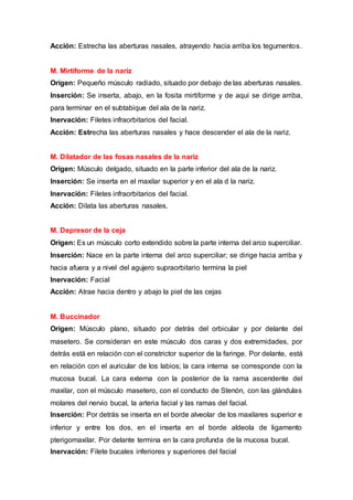 Acción: Estrecha las aberturas nasales, atrayendo hacia arriba los tegumentos.
M. Mirtiforme de la nariz
Origen: Pequeño músculo radiado, situado por debajo de las aberturas nasales.
Inserción: Se inserta, abajo, en la fosita mirtiforme y de aquí se dirige arriba,
para terminar en el subtabique del ala de la nariz.
Inervación: Filetes infraorbitarios del facial.
Acción: Estrecha las aberturas nasales y hace descender el ala de la nariz.
M. Dilatador de las fosas nasales de la nariz
Origen: Músculo delgado, situado en la parte inferior del ala de la nariz.
Inserción: Se inserta en el maxilar superior y en el ala d la nariz.
Inervación: Filetes infraorbitarios del facial.
Acción: Dilata las aberturas nasales.
M. Depresor de la ceja
Origen: Es un músculo corto extendido sobre la parte interna del arco superciliar.
Inserción: Nace en la parte interna del arco superciliar; se dirige hacia arriba y
hacia afuera y a nivel del agujero supraorbitario termina la piel
Inervación: Facial
Acción: Atrae hacia dentro y abajo la piel de las cejas
M. Buccinador
Origen: Músculo plano, situado por detrás del orbicular y por delante del
masetero. Se consideran en este músculo dos caras y dos extremidades, por
detrás está en relación con el constrictor superior de la faringe. Por delante, está
en relación con el auricular de los labios; la cara interna se corresponde con la
mucosa bucal. La cara externa con la posterior de la rama ascendente del
maxilar, con el músculo masetero, con el conducto de Stenón, con las glándulas
molares del nervio bucal, la arteria facial y las ramas del facial.
Inserción: Por detrás se inserta en el borde alveolar de los maxilares superior e
inferior y entre los dos, en el inserta en el borde aldeola de ligamento
pterigomaxilar. Por delante termina en la cara profunda de la mucosa bucal.
Inervación: Filete bucales inferiores y superiores del facial
 
