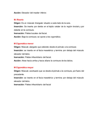 Acción: Elevador del maxilar inferior.
M. Risorio
Origen: Es un músculo triangular situado a cada lado de la cara.
Inserción: Se inserta por detrás en el tejido celular de la región tiroidal y por
delante en la comisura.
Inervación: Filetes bucales del facial.
Acción: Baja la comisura; se opone a los cigomático.
M Cigomático menor
Origen: Músculo alargado que extiende desde el pómulo a la comisura
Inserción: se inserta en el facia masetérico y termina por debajo del músculo
elevador del labio.
Inervación: Filetes infraorbitario del facial.
Acción: Atrae hacia arriba y hacia afuera la comisura de los labios.
M Cigomático mayor
Origen: Músculo acentuado que va desde el pómulo a la comisura, por fuera del
precedente.
Inserción: se inserta en el facia masetérico y termina por debajo del músculo
elevador del labio.
Inervación: Filetes infraorbitario del facial
 