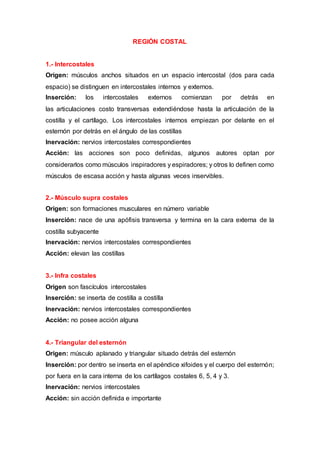 REGIÓN COSTAL
1.- Intercostales
Origen: músculos anchos situados en un espacio intercostal (dos para cada
espacio) se distinguen en intercostales internos y externos.
Inserción: los intercostales externos comienzan por detrás en
las articulaciones costo transversas extendiéndose hasta la articulación de la
costilla y el cartílago. Los intercostales internos empiezan por delante en el
esternón por detrás en el ángulo de las costillas
Inervación: nervios intercostales correspondientes
Acción: las acciones son poco definidas, algunos autores optan por
considerarlos como músculos inspiradores y espiradores; y otros lo definen como
músculos de escasa acción y hasta algunas veces inservibles.
2.- Músculo supra costales
Origen: son formaciones musculares en número variable
Inserción: nace de una apófisis transversa y termina en la cara externa de la
costilla subyacente
Inervación: nervios intercostales correspondientes
Acción: elevan las costillas
3.- Infra costales
Origen son fascículos intercostales
Inserción: se inserta de costilla a costilla
Inervación: nervios intercostales correspondientes
Acción: no posee acción alguna
4.- Triangular del esternón
Origen: músculo aplanado y triangular situado detrás del esternón
Inserción: por dentro se inserta en el apéndice xifoides y el cuerpo del esternón;
por fuera en la cara interna de los cartílagos costales 6, 5, 4 y 3.
Inervación: nervios intercostales
Acción: sin acción definida e importante
 