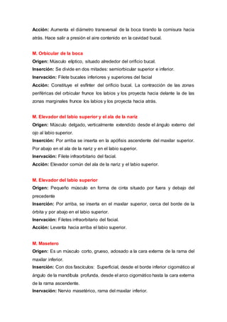 Acción: Aumenta el diámetro transversal de la boca tirando la comisura hacia
atrás. Hace salir a presión el aire contenido en la cavidad bucal.
M. Orbicular de la boca
Origen: Músculo elíptico, situado alrededor del orificio bucal.
Inserción: Se divide en dos mitades: semiorbicular superior e inferior.
Inervación: Filete bucales inferiores y superiores del facial
Acción: Constituye el esfínter del orificio bucal. La contracción de las zonas
periféricas del orbicular frunce los labios y los proyecta hacia delante la de las
zonas marginales frunce los labios y los proyecta hacia atrás.
M. Elevador del labio superior y el ala de la nariz
Origen: Músculo delgado, verticalmente extendido desde el ángulo externo del
ojo al labio superior.
Inserción: Por arriba se inserta en la apófisis ascendente del maxilar superior.
Por abajo en el ala de la nariz y en el labio superior.
Inervación: Filete infraorbitario del facial.
Acción: Elevador común del ala de la nariz y el labio superior.
M. Elevador del labio superior
Origen: Pequeño músculo en forma de cinta situado por fuera y debajo del
precedente
Inserción: Por arriba, se inserta en el maxilar superior, cerca del borde de la
órbita y por abajo en el labio superior.
Inervación: Filetes infraorbitario del facial.
Acción: Levanta hacia arriba el labio superior.
M. Masetero
Origen: Es un músculo corto, grueso, adosado a la cara externa de la rama del
maxilar inferior.
Inserción: Con dos fascículos: Superficial, desde el borde inferior cigomático al
ángulo de la mandíbula profunda, desde el arco cigomático hasta la cara externa
de la rama ascendente.
Inervación: Nervio masetérico, rama del maxilar inferior.
 
