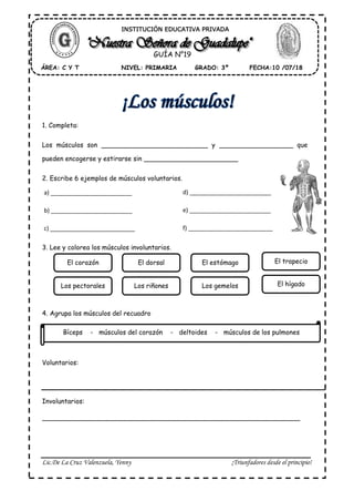 Lic.De La Cruz Valenzuela, Yenny ¡Triunfadores desde el principio!
1. Completa:
Los músculos son __________________________ y __________________ que
pueden encogerse y estirarse sin _______________________
2. Escribe 6 ejemplos de músculos voluntarios.
3. Lee y colorea los músculos involuntarios.
4. Agrupa los músculos del recuadro
Voluntarios:
Involuntarios:
_______________________________________________________________
ÁREA: C Y T FECHA:10 /07/18GRADO: 3ºNIVEL: PRIMARIA
GUÍA N°19
INSTITUCIÓN EDUCATIVA PRIVADA
a) _________________________
b) _________________________
c) __________________________
d) _________________________
e) _________________________
f) __________________________
El corazón
Los pectorales
El dorsal
Los riñones
El estómago
Los gemelos
El trapecio
El hígado
Bíceps - músculos del corazón - deltoides - músculos de los pulmones
 