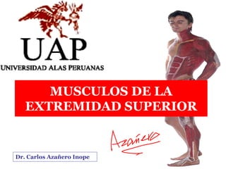 MUSCULOS DE LA
   EXTREMIDAD SUPERIOR


Dr. Carlos Azañero Inope