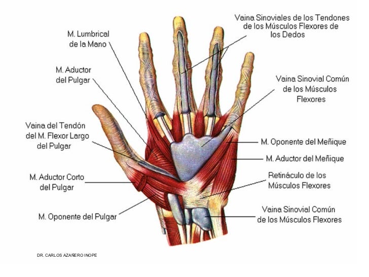 Remedios para la artritis en los dedos de la mano