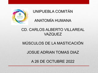 UNIPUEBLA COMITÁN
ANATOMÍA HUMANA
CD. CARLOS ALBERTO VILLAREAL
VAZQUEZ
MÚSCULOS DE LA MASTICACIÓN
JOSUE ADRIAN TOMAS DIAZ
A 26 DE OCTUBRE 2022
 
