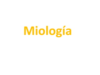 Miología
