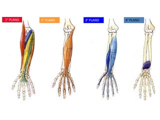 1° PLANO2° PLANO3° PLANO4° PLANO
