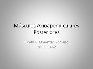 Músculos Axioapendiculares
Posteriores
Cindy G Almanzar Romero
100259462
 