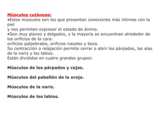 Músculos cutáneos:
•Estos músculos son los que presentan conexiones más íntimas con la
piel
y nos permiten expresar el estado de ánimo.
•Son muy planos y delgados, y la mayoría se encuentran alrededor de
los orificios de la cara:
orificios palpebrales, orificios nasales y boca.
Su contracción o relajación permite cerrar o abrir los párpados, las alas
de la nariz y los labios.
Están divididos en cuatro grandes grupos:
Músculos de los párpados y cejas.
Músculos del pabellón de la oreja.
Músculos de la nariz.
Músculos de los labios.
 