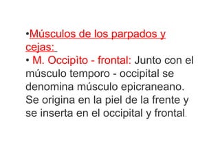 •Músculos de los parpados y
cejas:
• M. Occipìto - frontal: Junto con el
músculo temporo - occipital se
denomina músculo epicraneano.
Se origina en la piel de la frente y
se inserta en el occipital y frontal.
 