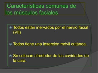 Características comunes de
los músculos faciales
 Todos están inervados por el nervio facial
(VII)
 Todos tiene una inserción móvil cutánea.
 Se colocan alrededor de las cavidades de
la cara.
 