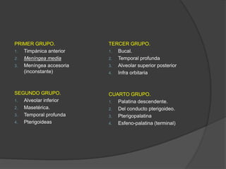 PRIMER GRUPO.
1. Timpánica anterior
2. Meníngea media
3. Meníngea accesoria
(inconstante)
SEGUNDO GRUPO.
1. Alveolar inferior
2. Masetérica.
3. Temporal profunda
4. Pterigoideas
TERCER GRUPO.
1. Bucal.
2. Temporal profunda
3. Alveolar superior posterior
4. Infra orbitaria
CUARTO GRUPO.
1. Palatina descendente.
2. Del conducto pterigoideo.
3. Pterigopalatina
4. Esfeno-palatina (terminal)
 
